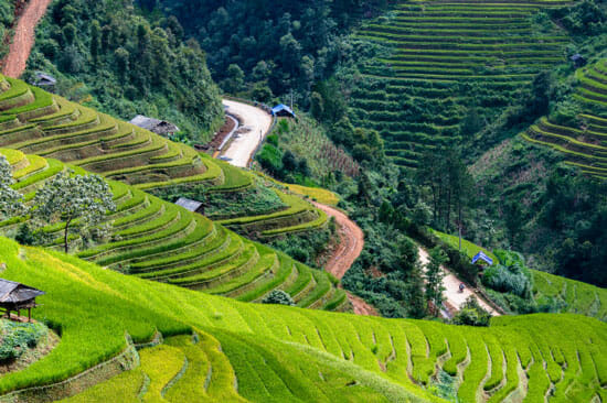 Banaue Rice Terraces 