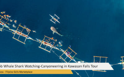 Oslob Whale Shark Watching-Canyoneering in Kawasan Falls Tour