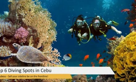 Top 6 Diving Spots in Cebu