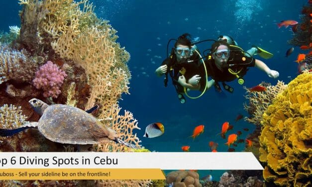 Top 6 Diving Spots in Cebu